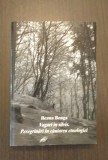 VAGARI IN SILVIS - PEREGRINARI IN CAUTAREA ETNOLOGIEI - ILEANA BENGA