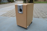 Subwoofer activ JBL SCS SUB