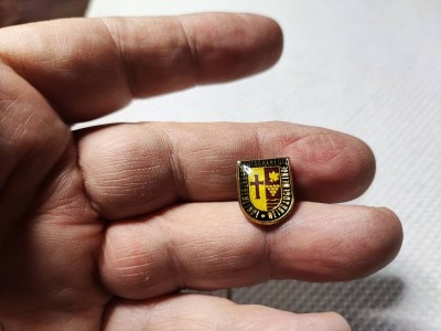 Lot de 2 pinuri vintage Germania foto