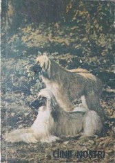 CAINII NOSTRI. BULETIN DOCUMENTAR NR.2/1989-COLECTIV-219790