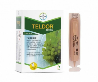 Fungicid TELDOR 500 SC - 10 ml, Bayer, Sistemic, Putregai cenusiu, Monilioza foto