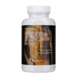 COBECO - PENIS + ERECT 90 CAPSULES, Cobeco Pharma