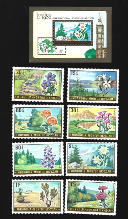 mongolia mnh