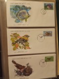 FAUNA WWF - 3 PLICURI PRIMA ZI