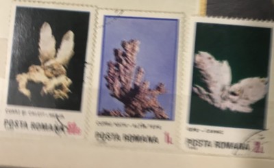 (F) Timbre Serii Romania Turism Flori de Mina foto