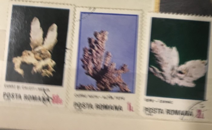 (F) Timbre Serii Romania Turism Flori de Mina