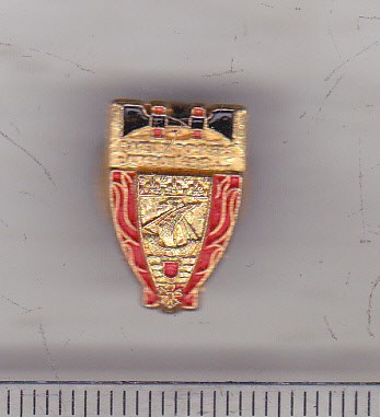 bnk ins Insigna pompieri Franta foto