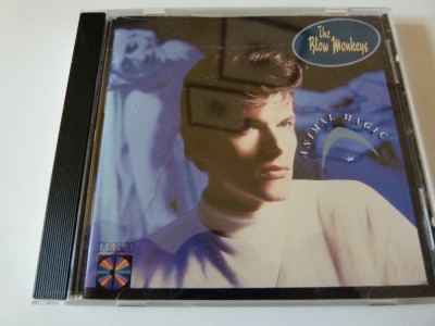 The Blow monkey, CD foto