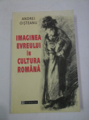 IMAGINEA EVREULUI IN CULTURA ROMANA - ANDREI OISTEANU foto