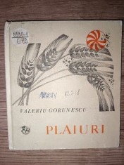Plaiuri- Valeriu Gorunescu