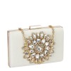 Geanta clutch din catifea bej B18110 05