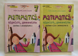 Matematica Consolidare clasa a VII-a, 2 vol., Anton Negrila, 2015