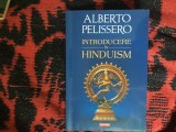 d2 Introducere in hinduism - Alberto Pelissero