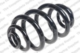 Arc elicoidal SP diam. Sarmei