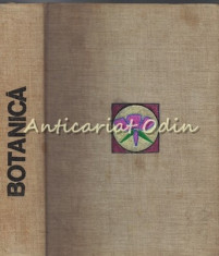 Botanica - M. Ravarut, Gh. Anghel - Tiraj: 4100 Exemplare Legate foto