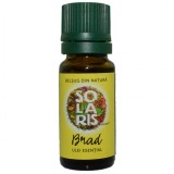 Ulei esential brad 10ml solaris, Solaris Plant