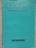 DOAMNA CU CATELUL-ANTON PAVLOVICI CEHOV-218774