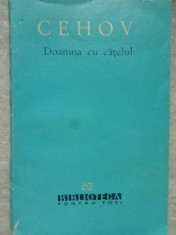 DOAMNA CU CATELUL-ANTON PAVLOVICI CEHOV-218774 foto