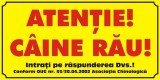 Placuta caine rau 10/20 cm galbena
