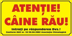 Placuta caine rau 10/20 cm galbena