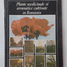 Leon S. Muntean - Plante Medicinale Si Aromatice Cultivate In Romania