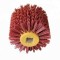 Tambur perie slefuit nylon ,tambur satinat pentru masina de slefuit-lustruit