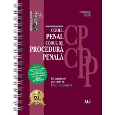Codul penal si codul de procedura penala septembrie 2025, Dan Lupascu