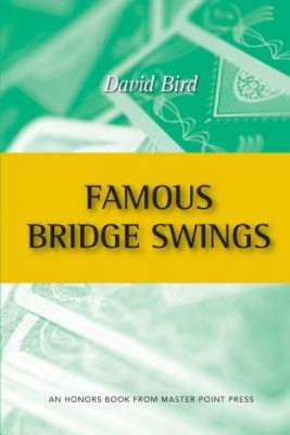 Famous Bridge Swings foto