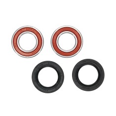 Kit Rulmenti roata Spate Suzuki LT-A400 King Quad Vinson Eiger All Balls 25-1293