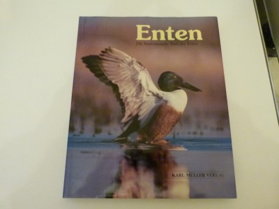 Fascinanta lume a ratelor foto