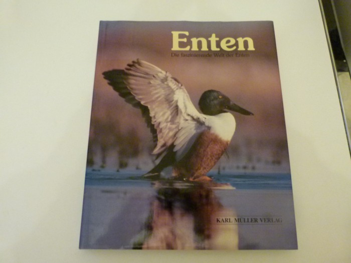 Fascinanta lume a ratelor