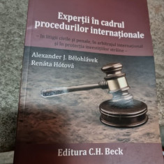 Alexander J. Belohlavek - Expertii in cadrul procedurilor internationale