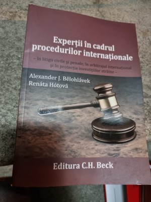 Alexander J. Belohlavek - Expertii in cadrul procedurilor internationale foto