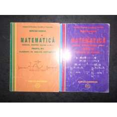 MIRCEA GANGA - MATEMATICA M1 2 volume clasa a XII-a