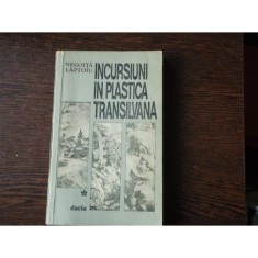 INCURSIUNI IN PLASTICA TRANSILVANA - NEGOITA LAPTOIU foto