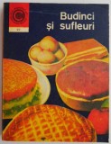 Budinci si sufleuri - Elena Rusu - Carte de Bucate, Retete Culinare, Deserturi, Gastronomie