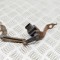 Senzor de nivel &icirc;nălțime st&acirc;nga spate BMW 4 Coupe F32, F82 2015 OEM: 6860843 | 21419266
