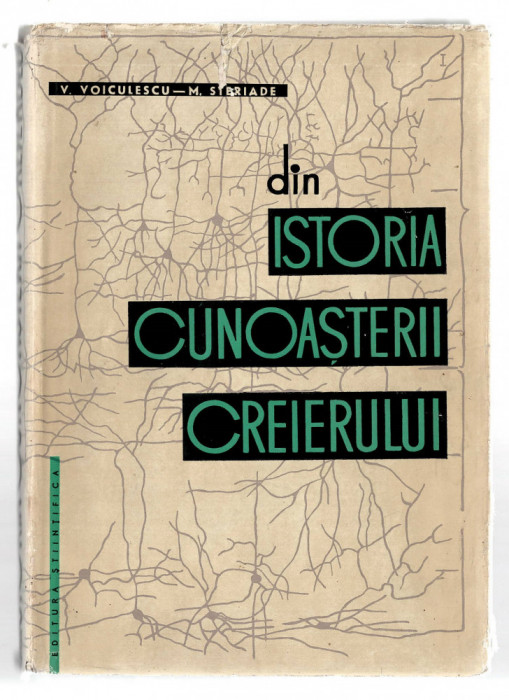 Din istoria cunoasterii creierului - V. Voiculescu/M. Steriade 1963, Stiintifica