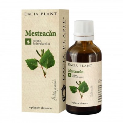 Tinctura Mesteacan Dacia Plant 50ml foto