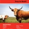 Rand McNally Easy to Read: Texas State Map