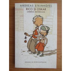 Andreas Steinhofel - Rico si Oskar. Umbrele misterioase