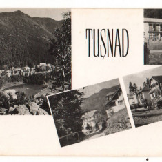 CPIB 19239 CARTE POSTALA - TUSNAD, MOZAIC, RPR