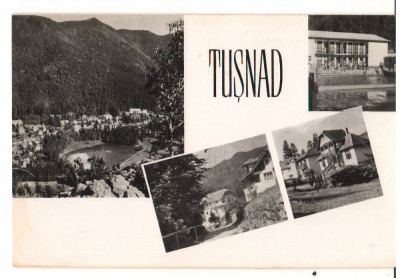 CPIB 19239 CARTE POSTALA - TUSNAD, MOZAIC, RPR foto