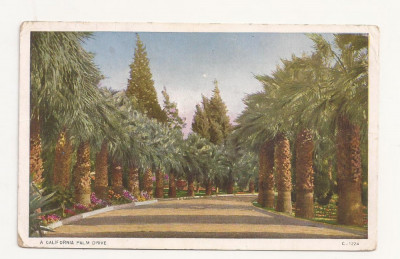 FA10 - Carte Postala- SUA - A California Palm Drive, necirculata foto