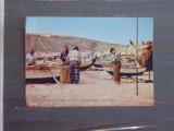 PORTUGALIA - NAZARE - PESCARI PE PLAJE PREGATIND PLASELE DE PESCUIT - 1960 -, Circulata, Fotografie