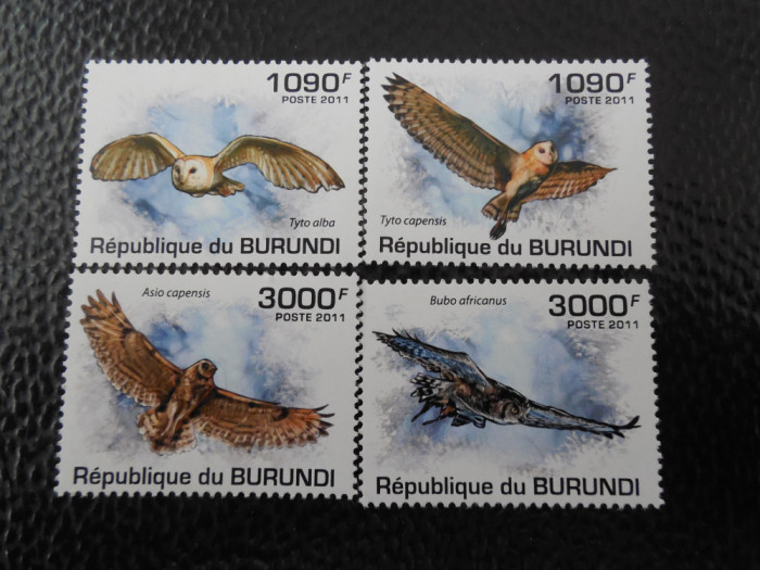 Burundi -Fauna ,bufnite-serie completa ,MNH