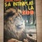 S-a intamplat la zoo- Mihail Cociu