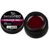 Cumpara ieftin Gel UV Colorat Old Burgundy 5ml, SensoPRO Milano