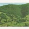 RF33 -Carte Postala- Muntii Apuseni, circulata 1965