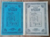 Protos. Nicodim Măndiță - Calea sufletelor &icirc;n veșnicie. Vămile văzduhului (2 vol.)